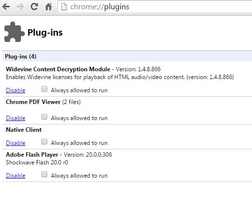 Google Chrome Plugins
