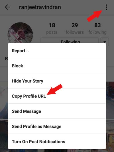 How To View Full Size Instagram Profile Picture Of Anybody Solved