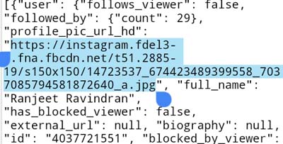 instagram profile picture url from source code