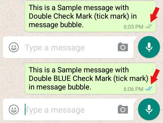 sample whatsapp message with double blue tick mark in message bubble
