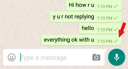 whatsapp no reply